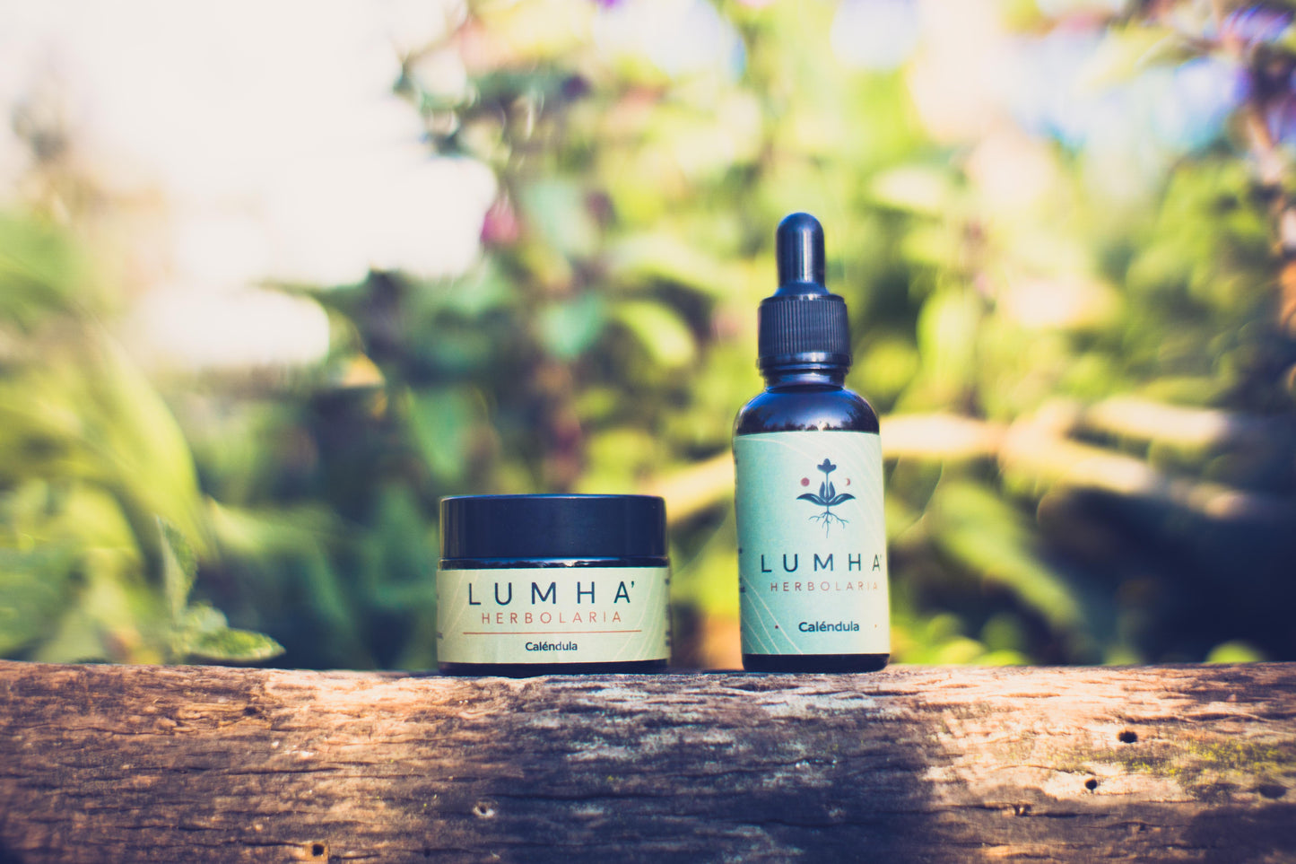 Dúo Botánico: Tintura & Pomada de Caléndula