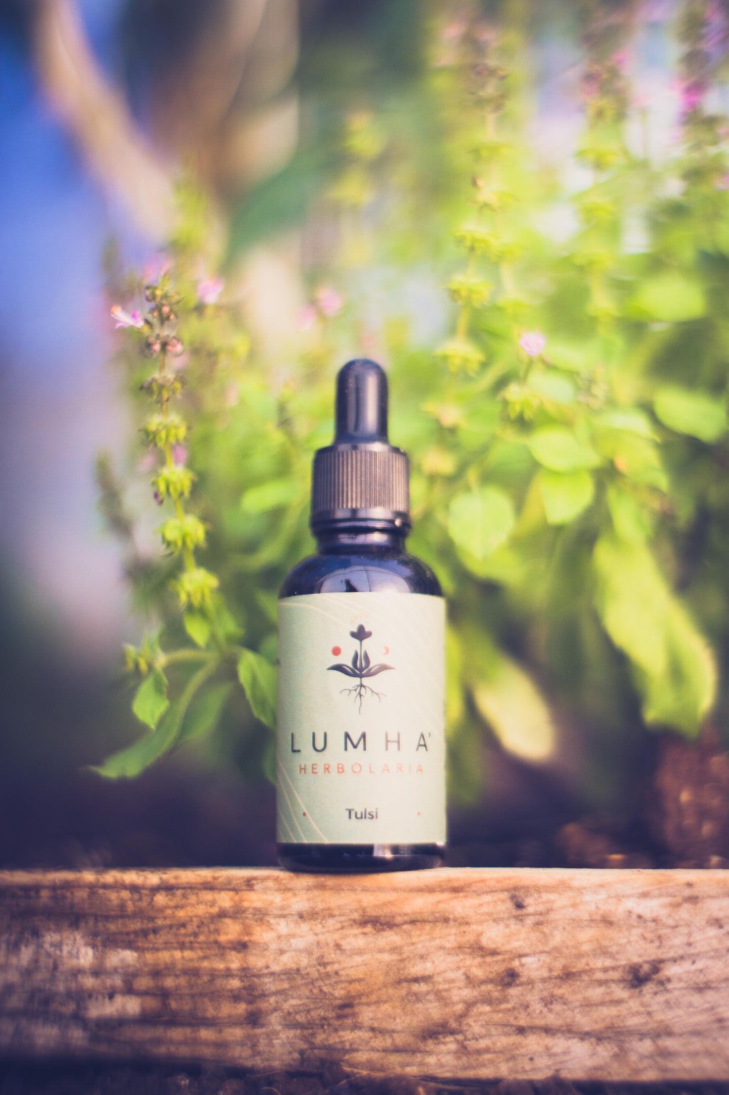 TULSI